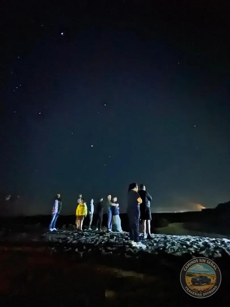 PINAMAR  NOCTURNA - Verano 2027: foto 4