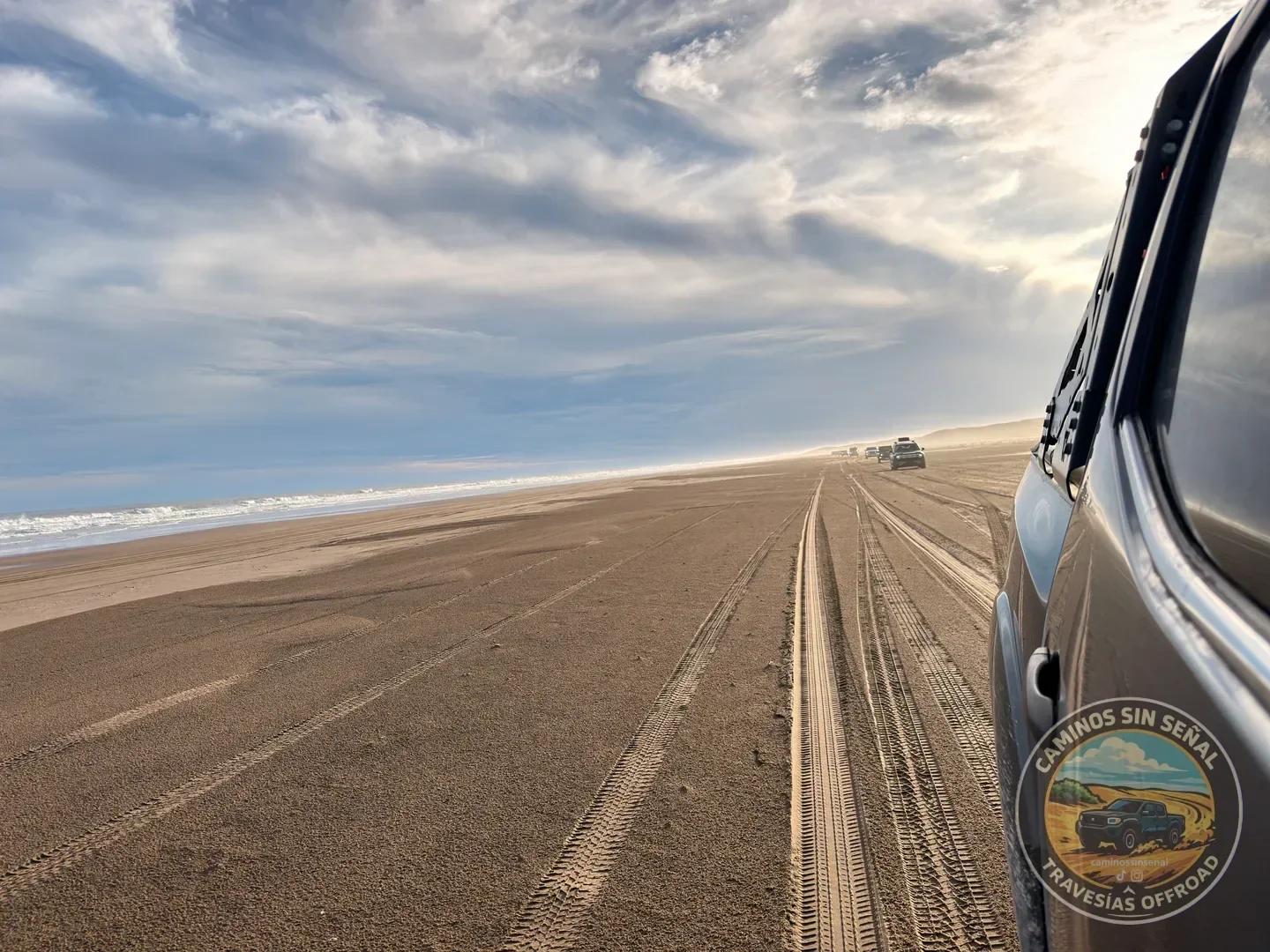 PINAMAR (nocturna), PUNTA MEDANOS, CARILÓ y VILLA GESELL - Noviembre: foto 4