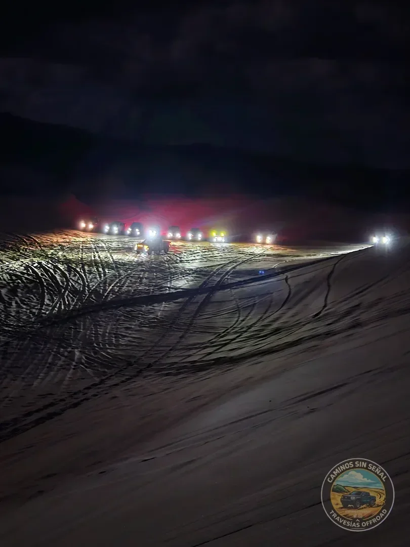 PINAMAR  NOCTURNA - Verano 2027: foto 3