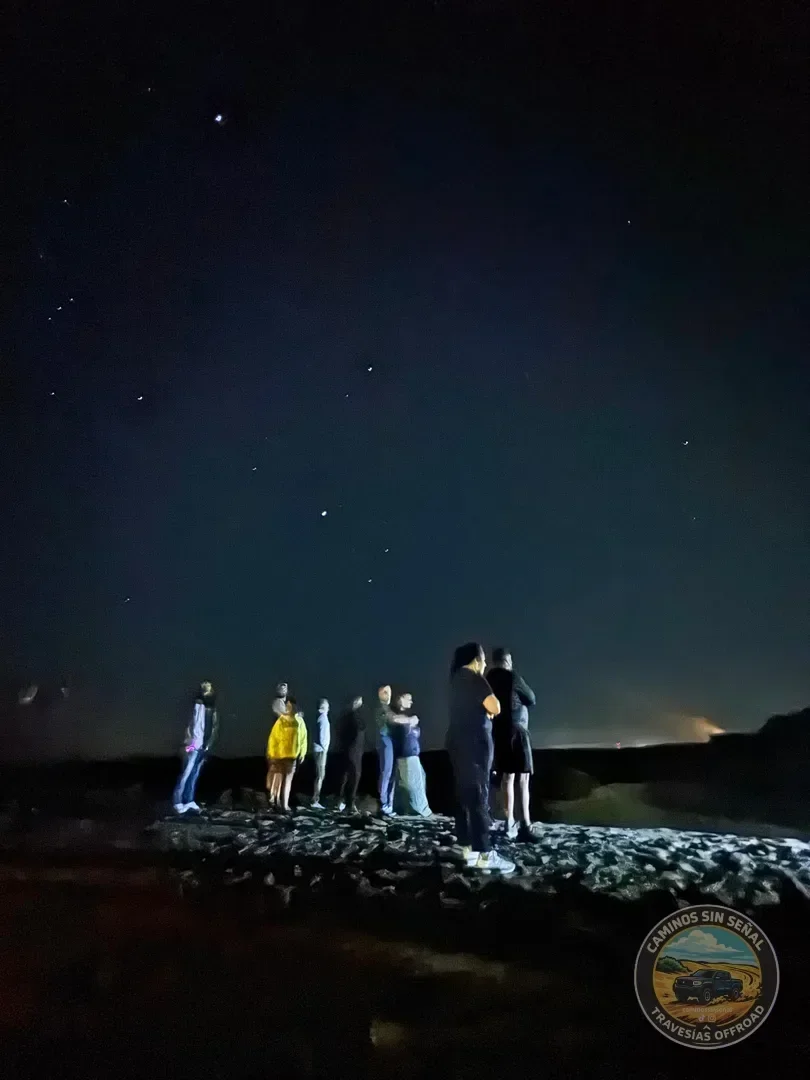 PINAMAR  NOCTURNA - Verano 2027: foto 4