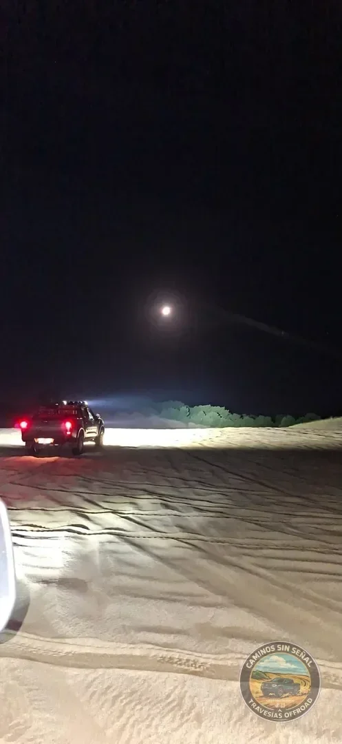 PINAMAR  NOCTURNA - Verano 2027: foto 1