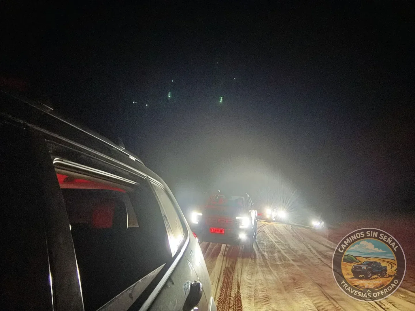 PINAMAR  NOCTURNA - Verano 2027: foto 6