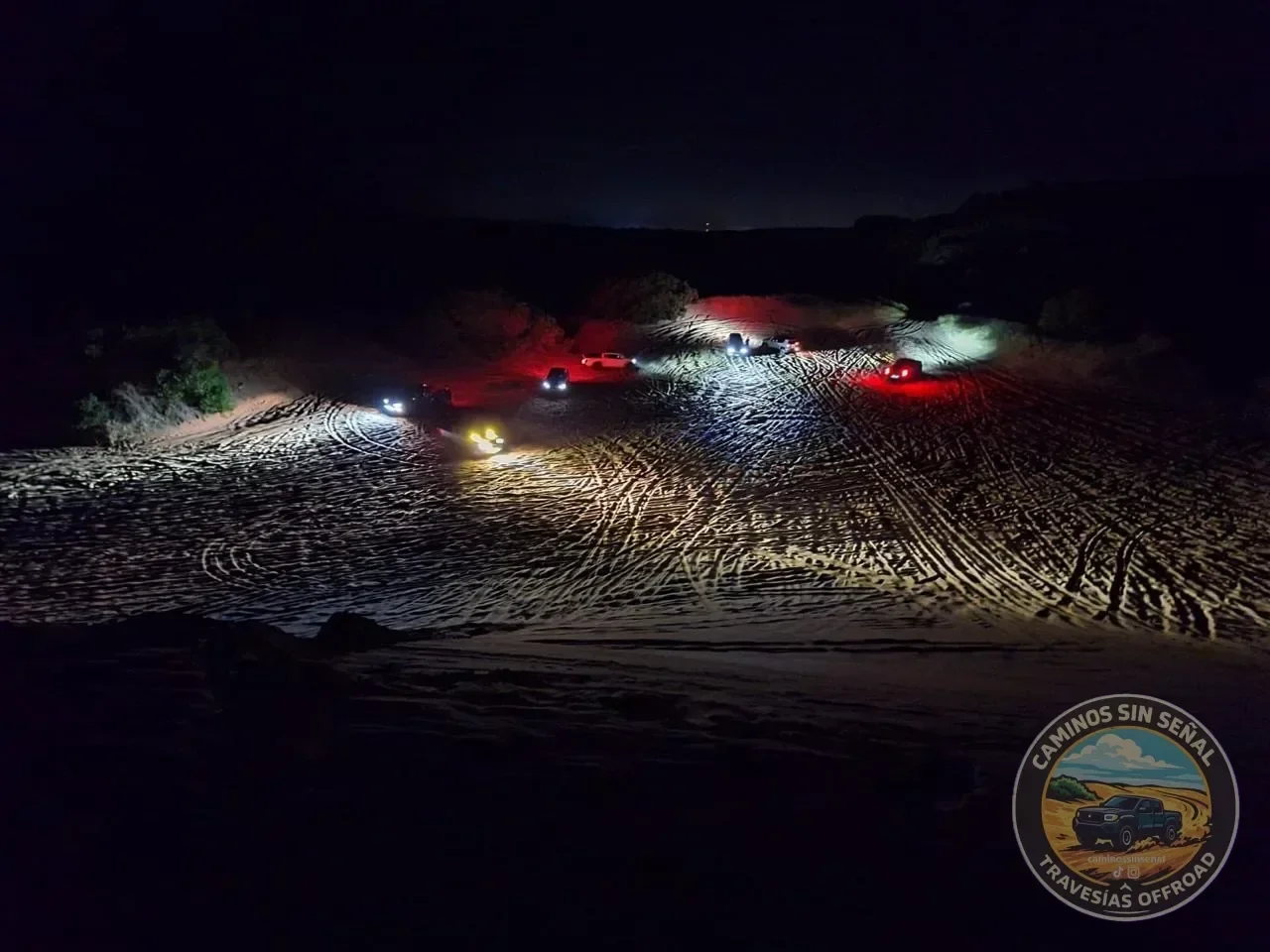 PINAMAR  NOCTURNA - Verano 2027: foto 7