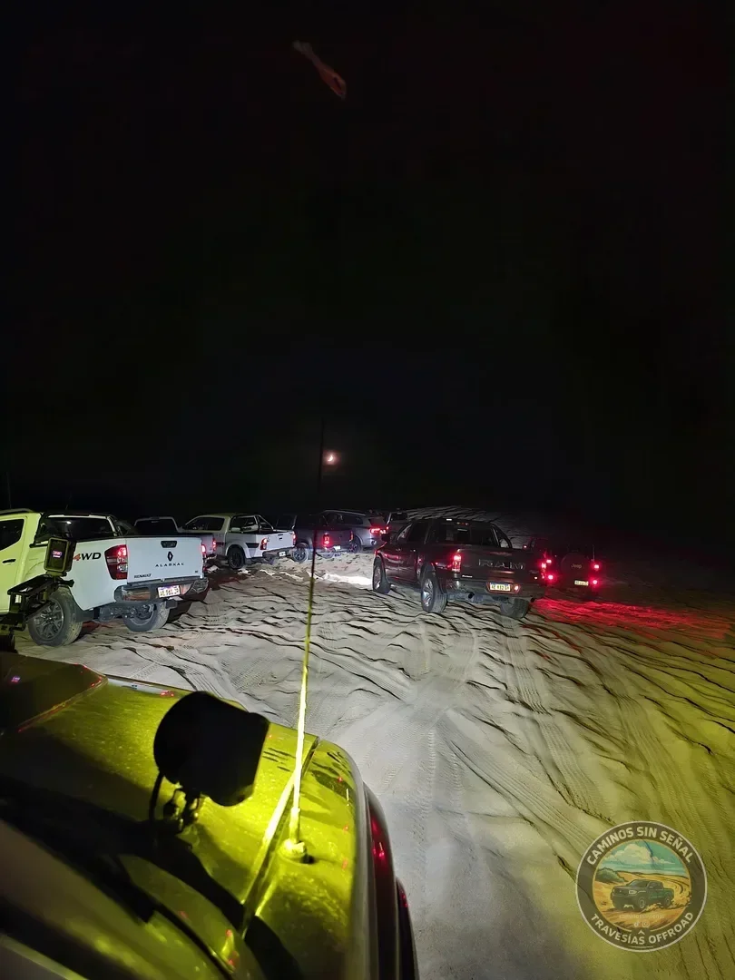 PINAMAR  NOCTURNA - Verano 2027: foto 8
