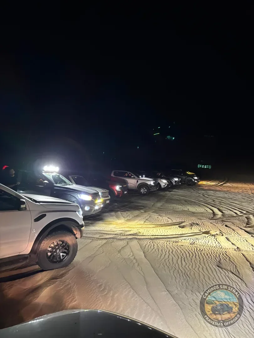 PINAMAR  NOCTURNA - Verano 2027: foto 9