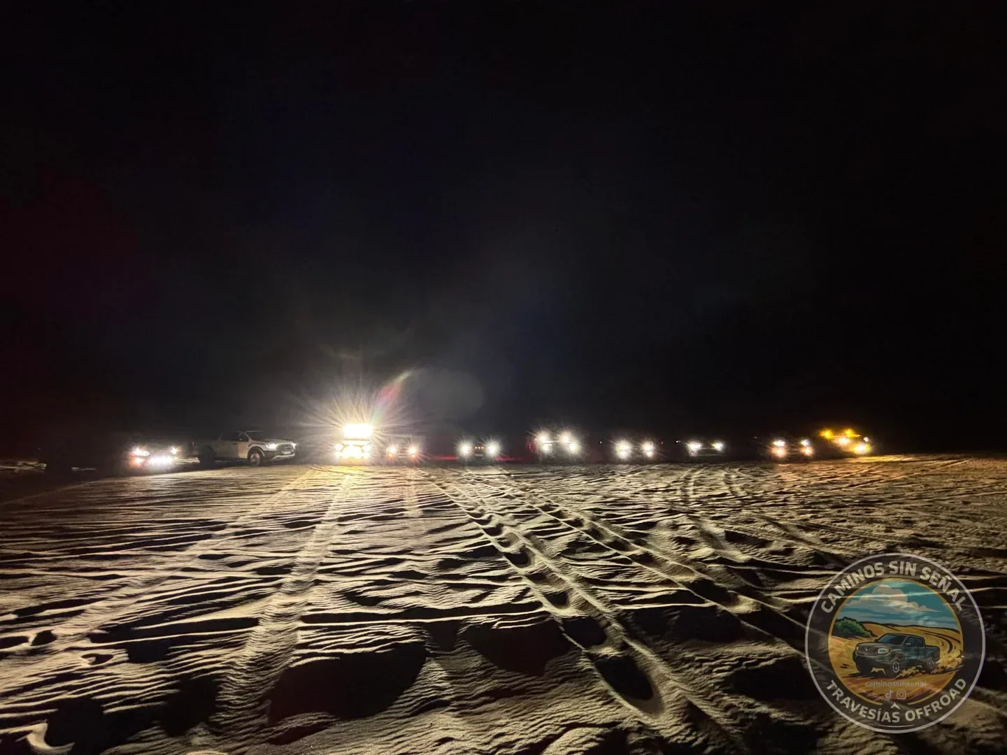PINAMAR  NOCTURNA - Verano 2027: foto 10