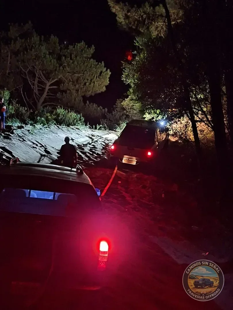 PINAMAR  NOCTURNA - Verano 2027: foto 12