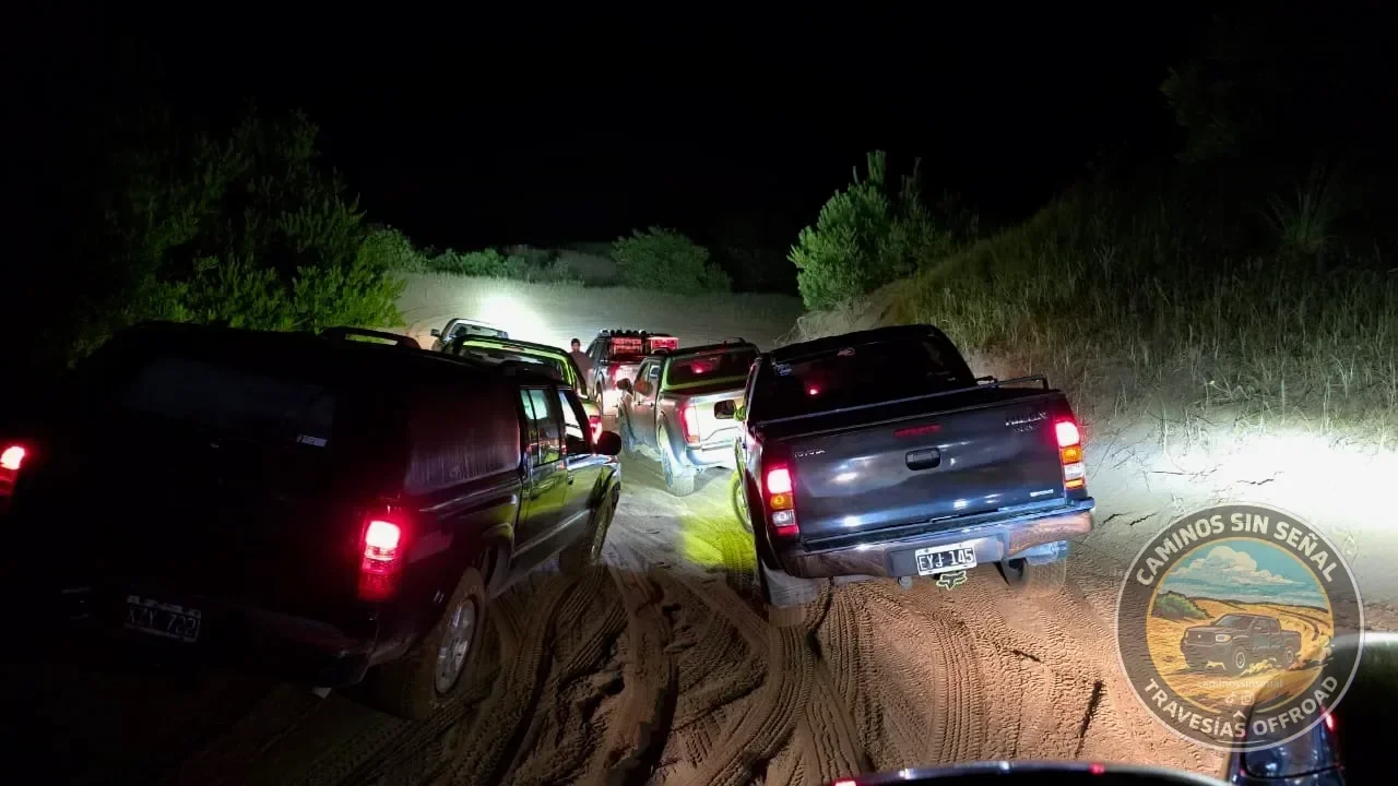 PINAMAR  NOCTURNA - Verano 2027: foto 13