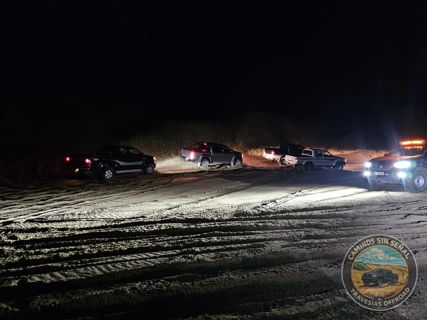 PINAMAR  NOCTURNA - Verano 2027: foto 14