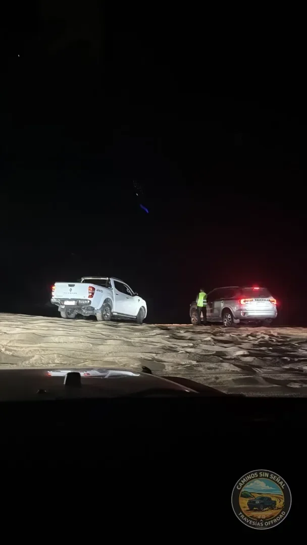 PINAMAR  NOCTURNA - Verano 2027: foto 15
