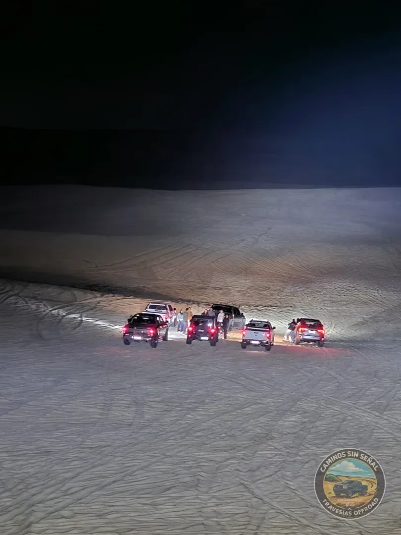 PINAMAR  NOCTURNA - Verano 2027: foto 16