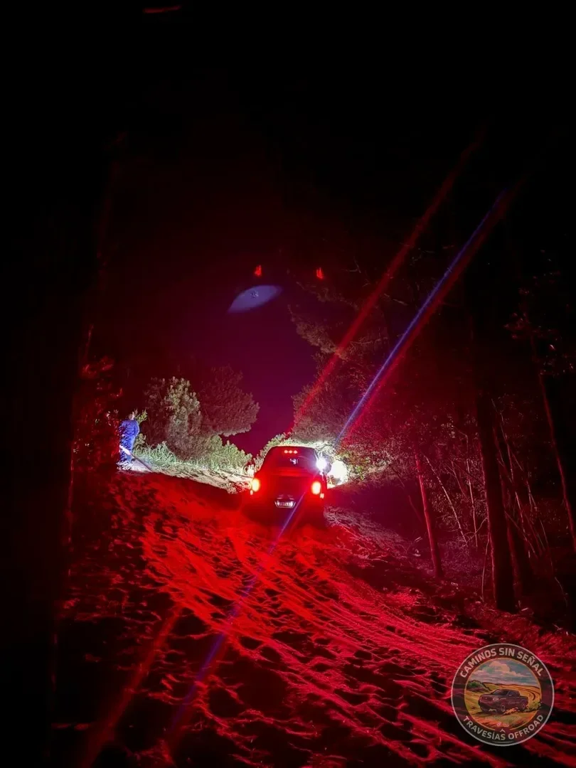 PINAMAR  NOCTURNA - Verano 2027: foto 19