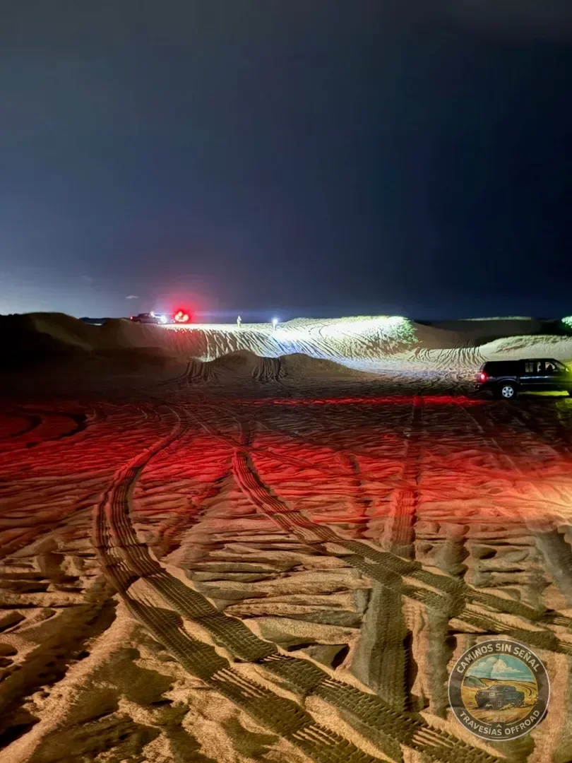 PINAMAR  NOCTURNA - Verano 2027: foto 20