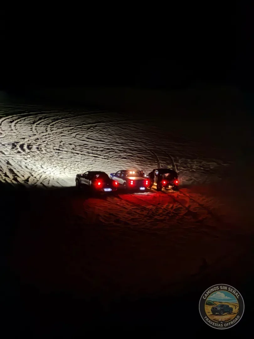 PINAMAR  NOCTURNA - Verano 2027: foto 21