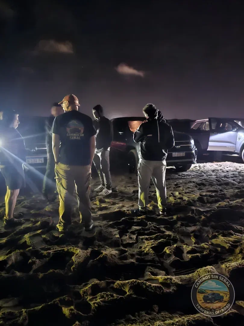 PINAMAR  NOCTURNA - Verano 2027: foto 22