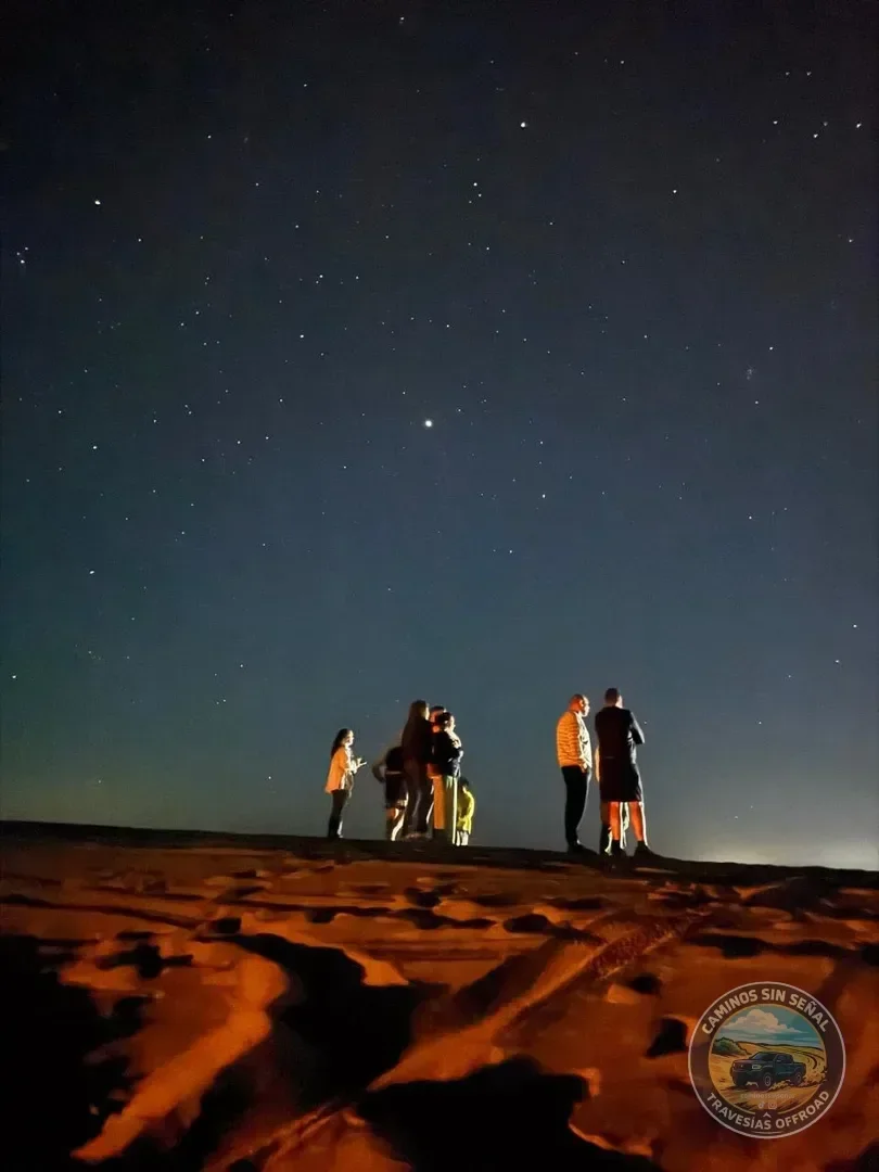PINAMAR  NOCTURNA - Verano 2027: foto 23