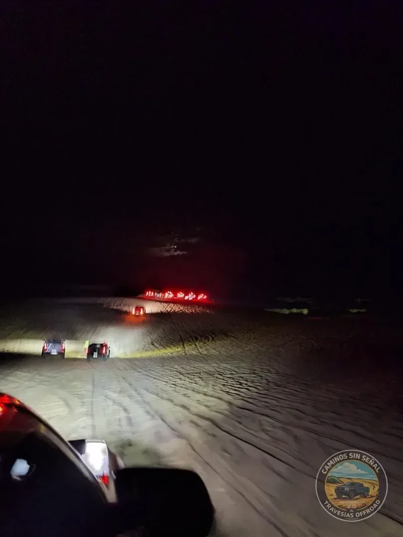 PINAMAR  NOCTURNA - Verano 2027: foto 24