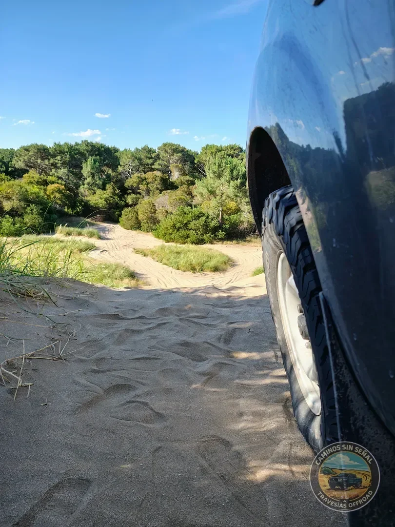 PINAMAR (nocturna), PUNTA MEDANOS, CARILÓ y VILLA GESELL - Noviembre: foto 13