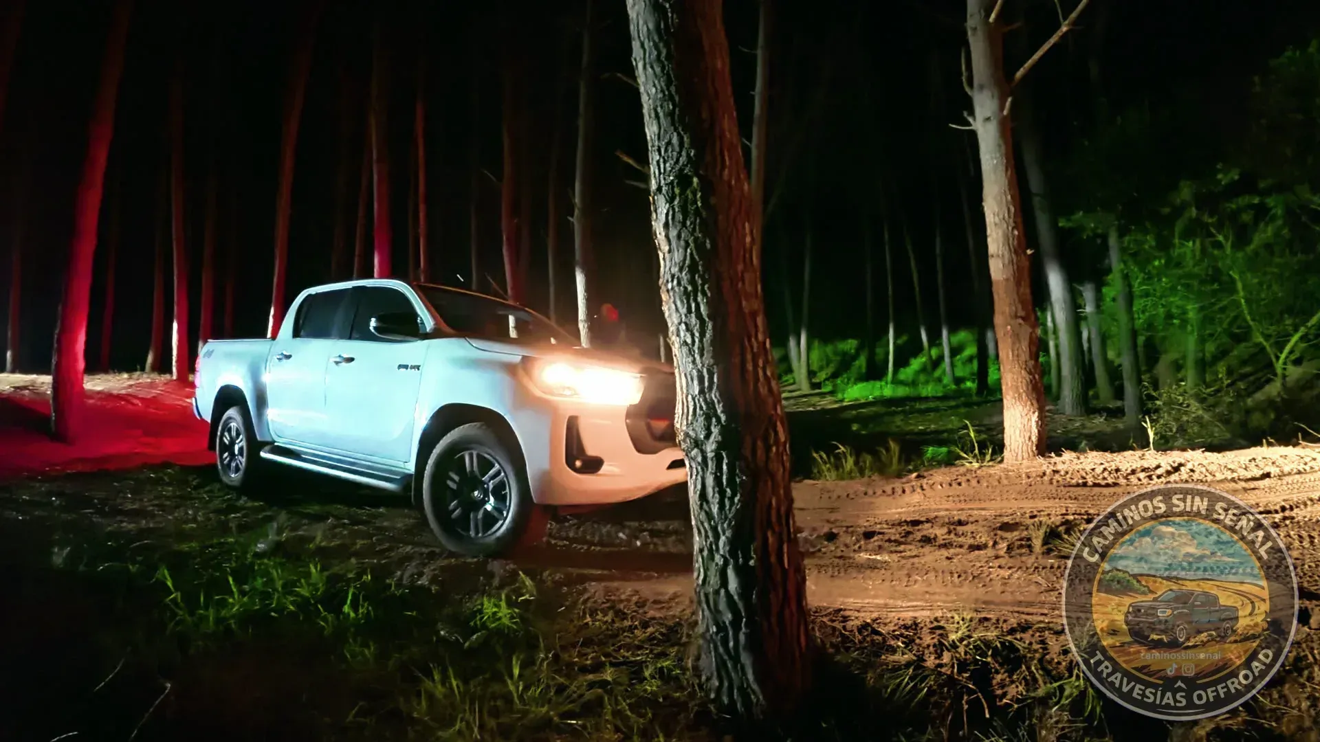 Nocturna en el bosque de Pinamar